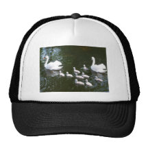 Swan family trucker hats