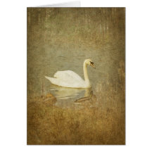 Swan Greeting Card
