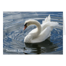 Swan Greetings Card
