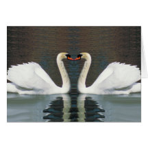 Swan Heart notecards