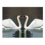 Swan Heart postcards