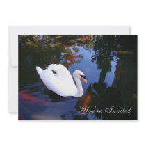Swan in Coy pond Invite