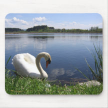 Swan In Lake Mousemats