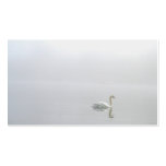 Swan in the Mist Business Card Templates