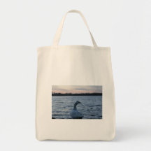 swan lake bags
