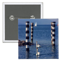 Swan Lake Button