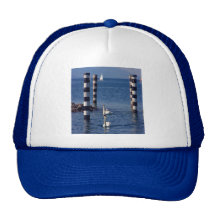 Swan Lake Hats