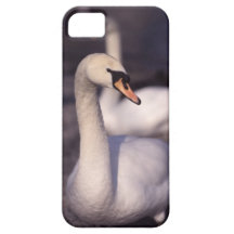 Swan Lake iPhone 5 Covers