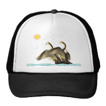 Swan Lake Mesh Hats