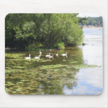 Swan Lake Mouse Pads