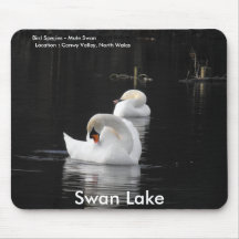 Swan Lake Mousepad