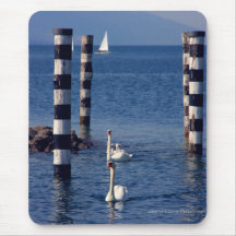 Swan Lake Mousepads
