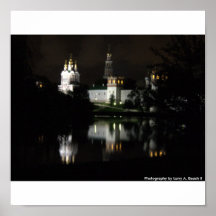 Swan Lake Print