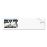 Swan Love Bumper Sticker