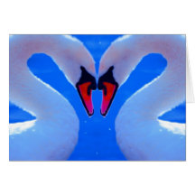 Swan Love, Romantic Heart Shaped Necks Greeting Card
