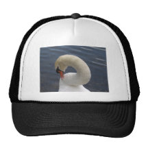 swan mesh hat