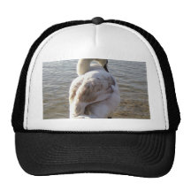 Swan On Lake Trucker Hat