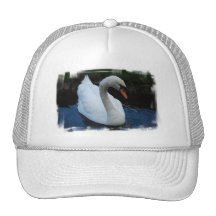 Swan Perfection Baseball Hat