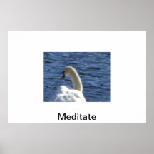 Swan poster