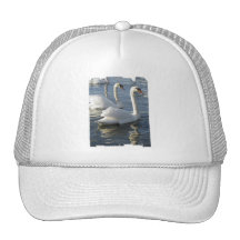 Swan Reflections Baseball Hat