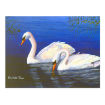 Swan Reflections Postcard