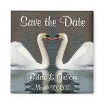 Swan Save the Date magnets