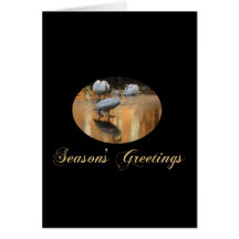 swan seasons greetings greeting cards