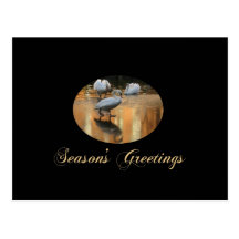swan seasons greetings postcard