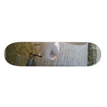 Swan Standing In Water Custom Skateboard