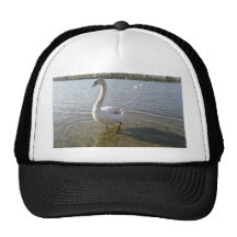 Swan Standing In Water Hats
