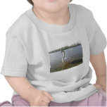 Swan Standing In Water t-shirts
