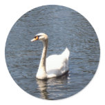 swan round sticker
