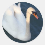 Swan - Sticker