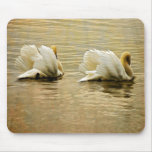 Swan Sunrise - Mousepad