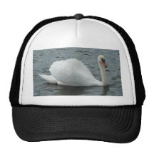 Swan Swimming Trucker Hats