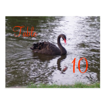 Swan Table Number Post Cards