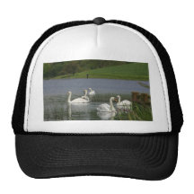 Swans Animal Mesh Hats