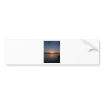 Swans Bumper Stickers
