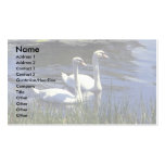 Swans Business Cards