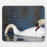 Swans Feeding Mouse Pad