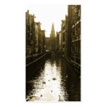 Swans in Amsterdam Canal Business Cards