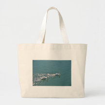 Swans In Sunlight Canvas Bags