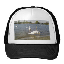 Swans Lake Mesh Hats