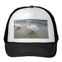 Swans Looking Trucker Hat