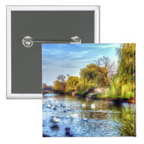Swans on the River Nene HDR buttons