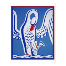 Swans Post Card