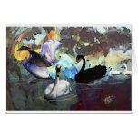 Swans Swimming cards