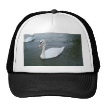 Swans White Hat