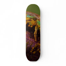 Sweat Bee At The Del Mar Fairgrounds Skate Boards