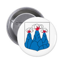 Swedish Air Force F1 Pin
